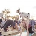 Discovering the World of Yoga Classes in Scottsdale, AZ